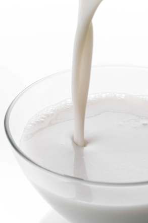 Kokosmilch, Naturland dmBio