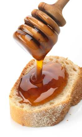 Medovicový med  dmBio