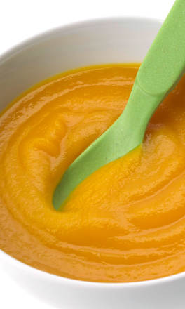 bio příkrm s dýní dmBio