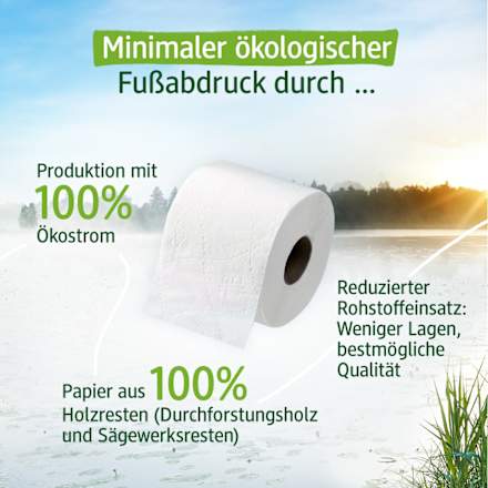 Toilettenpapier Pro Climate nature Stroh 2--lagig (8x260 Blatt) Sanft&Sicher