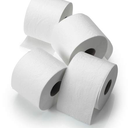 Toilettenpapier Pro Climate nature Stroh 2--lagig (8x260 Blatt) Sanft&Sicher