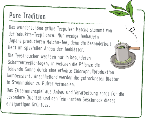 Japanischer Grüner Tee, Matcha Sticks (10 x 2g) dmBio