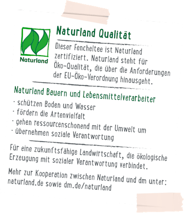 Kräutertee Fenchel (20 Beutel) dmBio