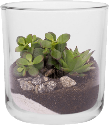 Duftkerze im Glas Vanille Profissimo