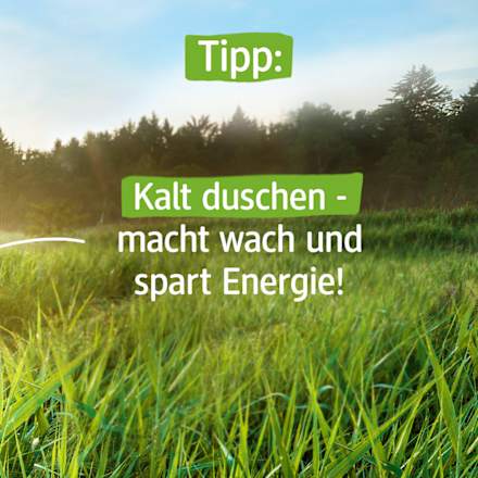 Żel-koncentrat pod prysznic Pro Climate alverde NATURKOSMETIK