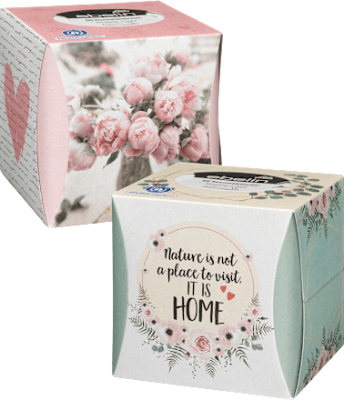 Box con fazzoletti cosmetici assort. ebelin