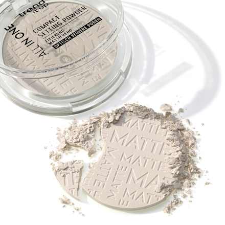 Puder w kompakcie All In One Compact Setting Powder trend !t up