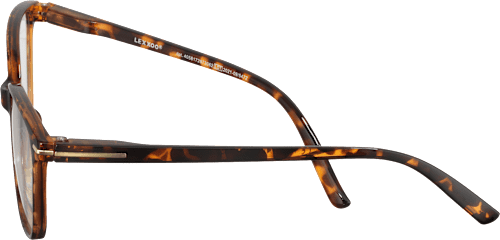 Očala za branje nature, dioptrija: +2,00, rjava visiomax