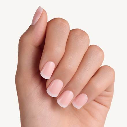 Künstliche Nägel French Manicure Click-On 01 Classic French essence