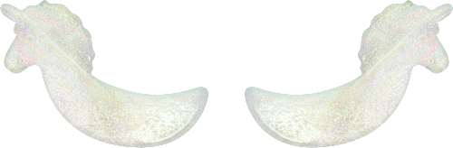 Augenpads Hydrogel Queen of... Magic 01 Unicorn-Jokers Make Magic Happen essence