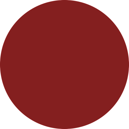 CARE IN COLOURS balzam za usne - 050 Wild Rebel CATRICE