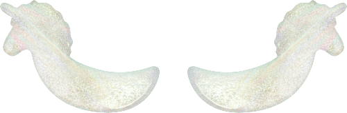 Augenpads Hydrogel Queen of... Magic 01 Unicorn-Jokers Make Magic Happen (1Paar) essence