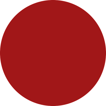 Ruj de buze The slim STICK No.109 Burgundy Bliss essence