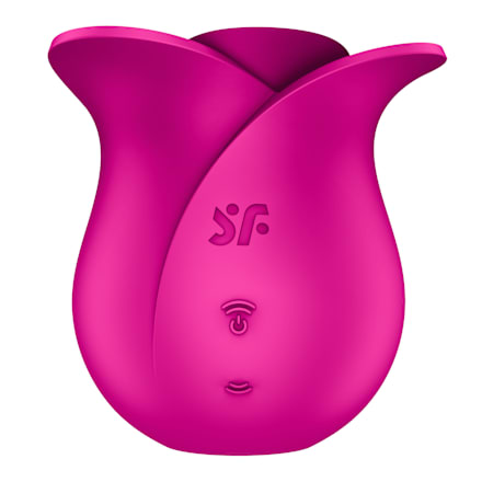 Pro 2 Modern Blossom vibrator Satisfyer