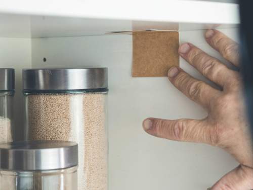 Schrankfalle für Lebensmittelmotten Nexa Lotte