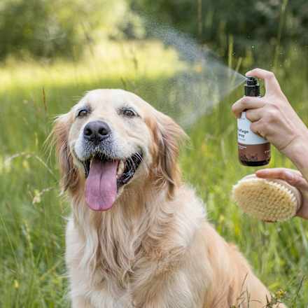 Fellpflege Spray für Hunde Greendoor