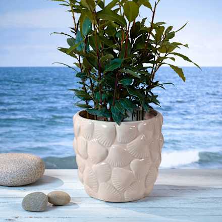 Blumentopf aus Keramik mit Muscheln, weiß BOLTZE