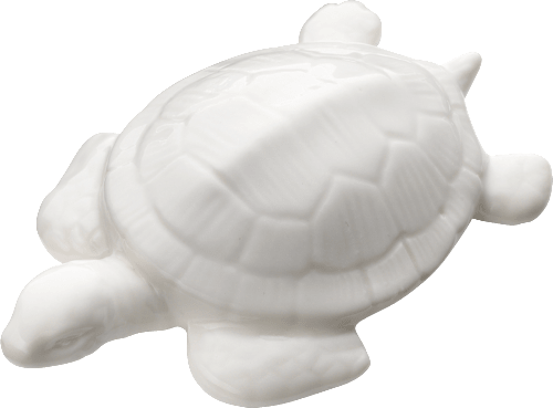 Schildkröte, weiß/glänzend BOLTZE