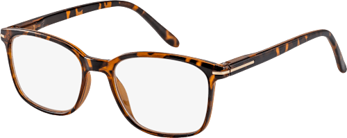 Fertig-Lesebrille demi-braun Vollrand + 2,5 VISIOMAX