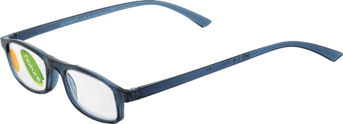 Očala za branje, dioptrija: +3,00, sivomodra visiomax