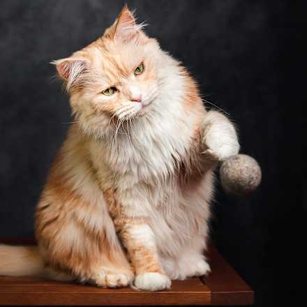 Katzenspielzeug flinke Filzbälle grau & mint Catlabs