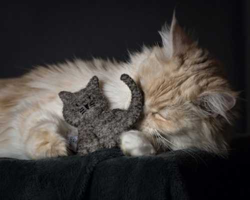 Katzenspielzeug Holly mit Katzenminze Catlabs