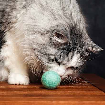 Katzenspielzeug flinke Filzbälle grau & mint Catlabs