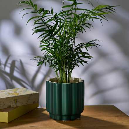 Blumentopf Klara BOLTZE