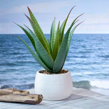 Kunstpflanze Aloe Vera BOLTZE
