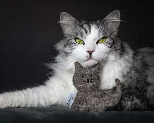 Katzenspielzeug Holly mit Katzenminze Catlabs