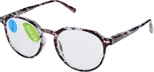 Očala za branje nature, dioptrija: +2,00, črno-siva visiomax