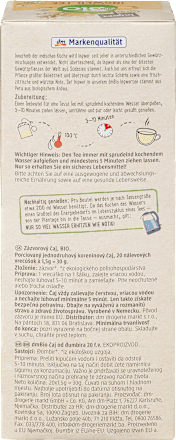 bio zázvorový čaj dmBio