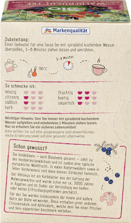 Herbatka owoce lasu (20 x 2,5 g) dmBio