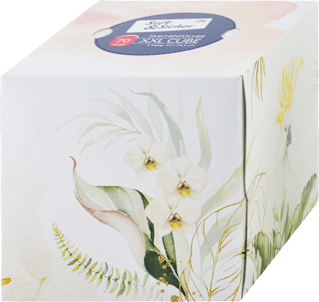 Box fazzoletti XXL 4 veli assort. Soft&Sicher