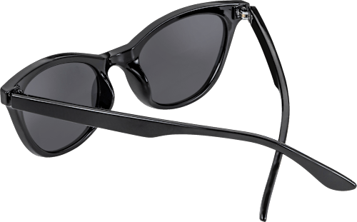 Cateye Sonnenbrille Vollrand schwarz SUNDANCE