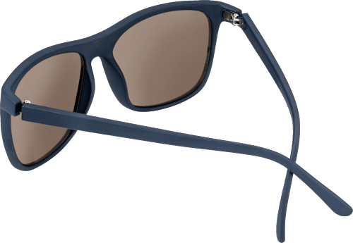Sonnenbrille helle Gläser schwarz SUNDANCE