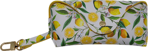 pouzdro na brýle SUNDANCE