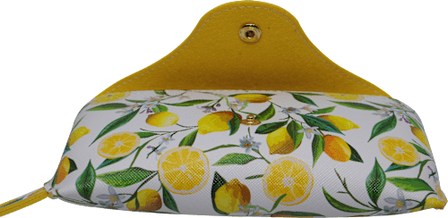 pouzdro na brýle SUNDANCE