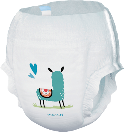 Baby Pants Premium Gr. 5 Junior (13-20 kg), Jumbo Pack babylove
