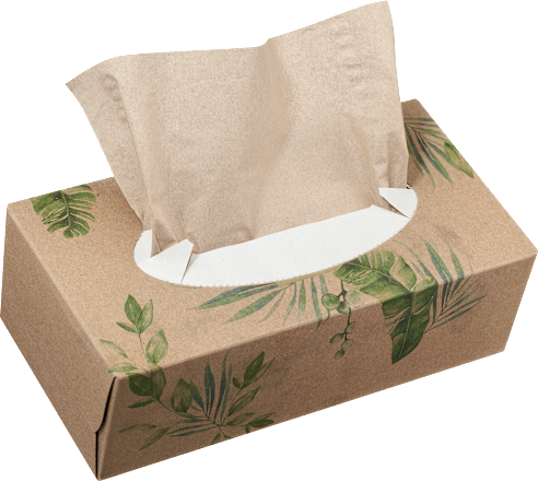 Kosmetiktücher Nature Box Recycling sortiert ebelin