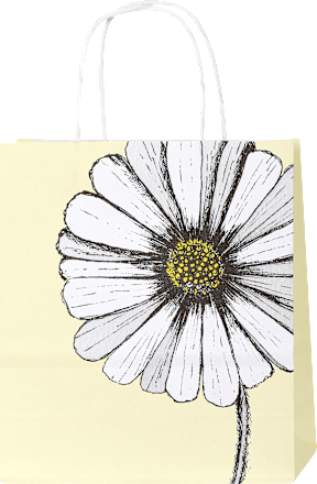 Darilna vrečka nature - mini Profissimo