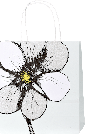 Darilna vrečka nature - mini Profissimo