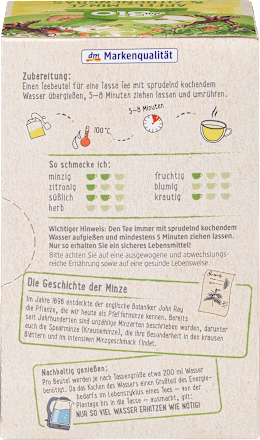 Früchte- & Kräutertee mit Apfel, Minze & Zitronengras (20 Beutel) dmBio