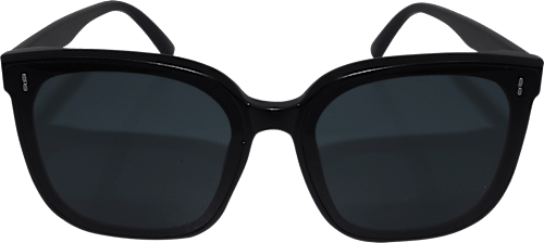 Sonnenbrille Erwachsene schwarz mit dunkel getönten Scheiben SUNDANCE