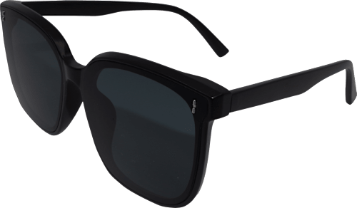 Sonnenbrille Erwachsene schwarz mit dunkel getönten Scheiben SUNDANCE