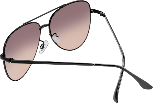 Sonnenbrille braune Gläser schwarz SUNDANCE