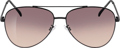 Sonnenbrille braune Gläser schwarz SUNDANCE