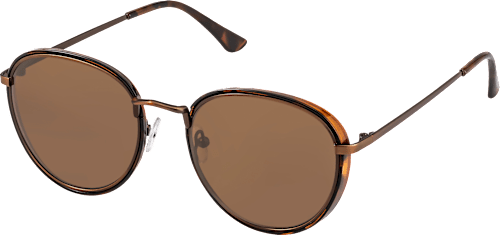 Sonnenbrille Erwachsene mit braunem Metallrahmen und braun getönten Scheiben SUNDANCE