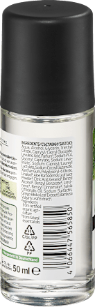 Deo Roll-on Active Nature alverde MEN