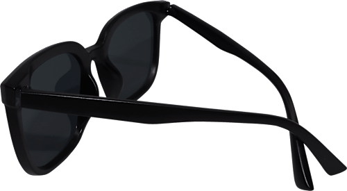 Sonnenbrille Erwachsene schwarz mit dunkel getönten Scheiben SUNDANCE